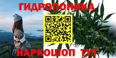 гидропоника Ирбит