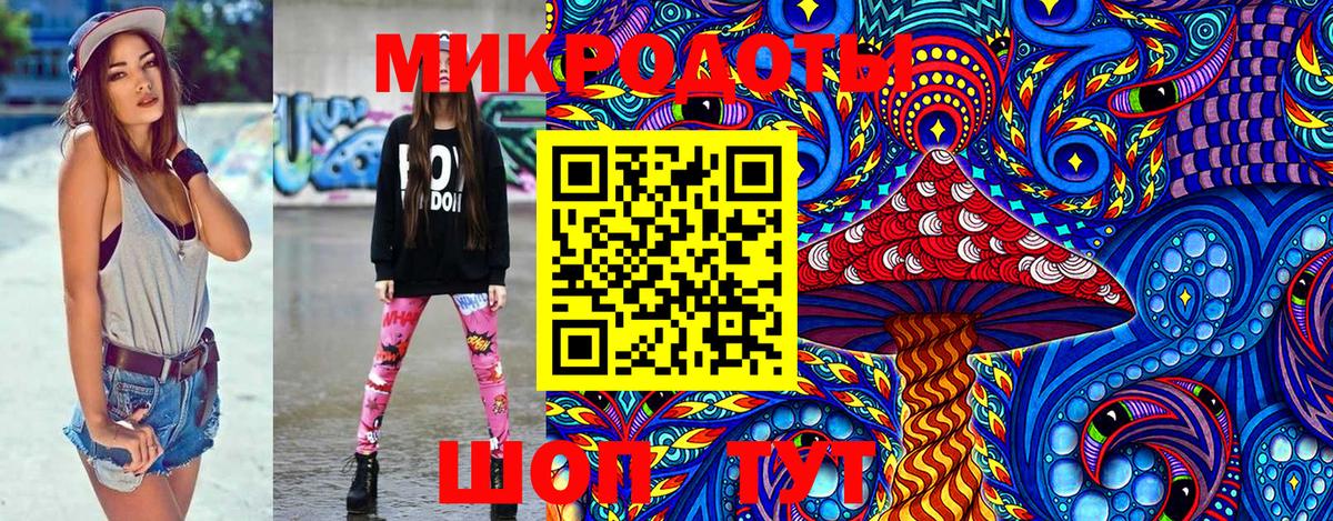 Магнитогорск  как найти   Вход с VPN  Псилоцибиновые грибы Cubensis 